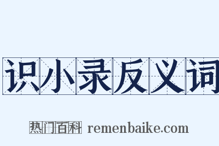 识小录反义词是什么意思的图片